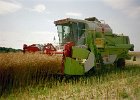 Claas Drescher 39